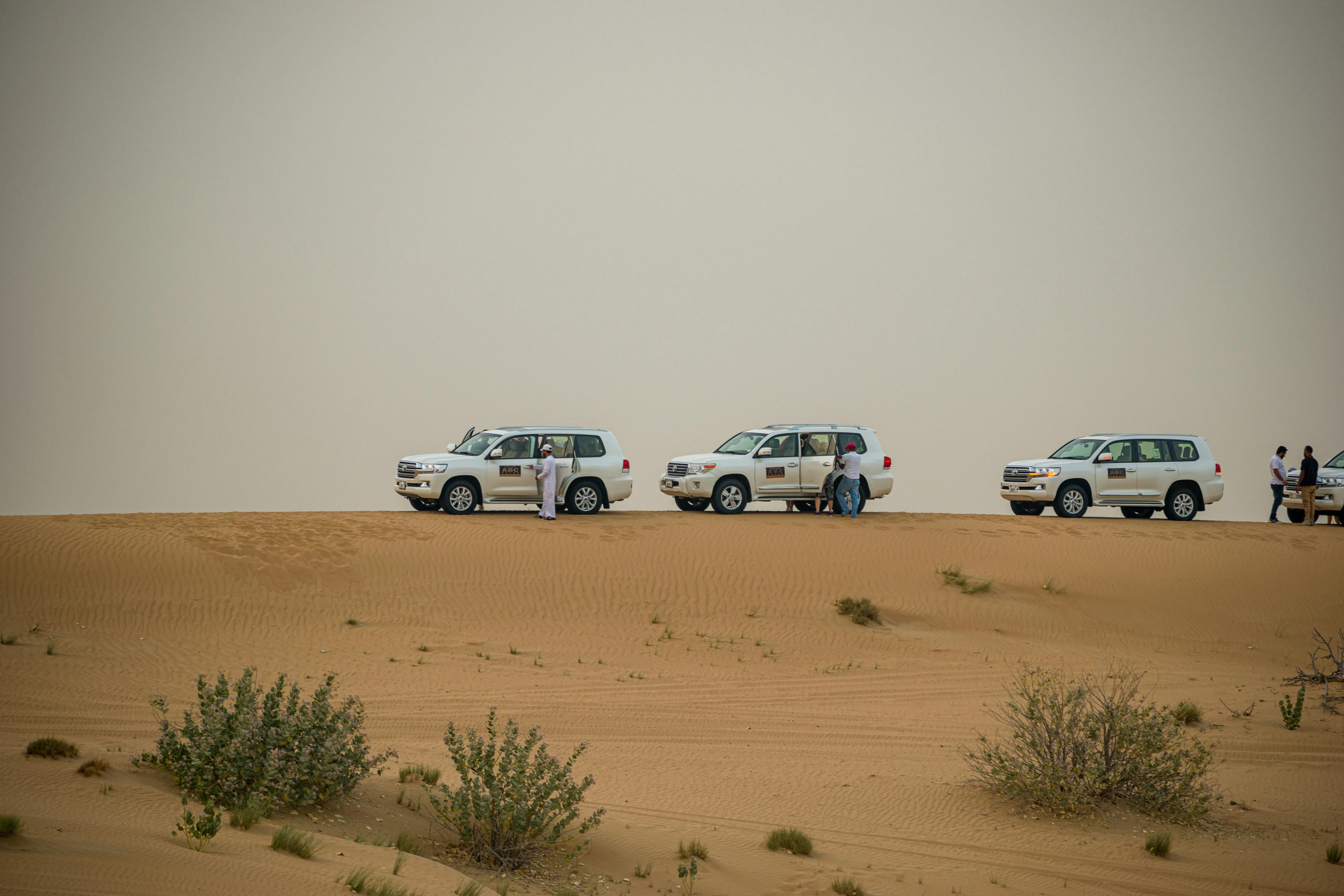 Camel caravan in desert